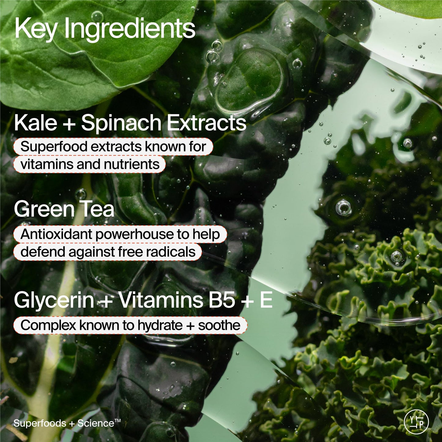 Youth To The People Superfood Facial Cleanser - Kale + Green Tea Daily Face Wash, Gentle Makeup Remover, with Soothing Antioxidants for Glowing Skin, pH Balance, Clean Pores, Sulfate-free, Refillable